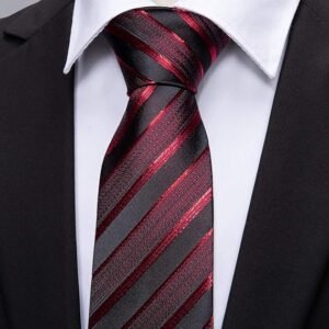 Tie Sets for Men Silk Stripe Necktie Woven Checkered Handkerchief Cufflinks Formal Business Wedding 4.7 4.7 out of 5 stars    9,625 ratings